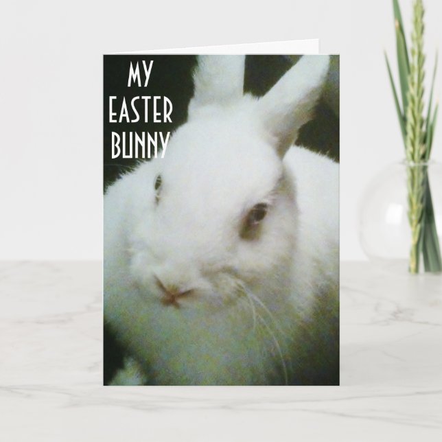 YOU ARE "MY" EASTER BUNNY HOLIDAY CARD (Front)