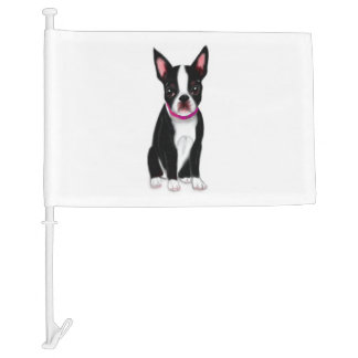 You are my everything boston terrier mind pet desi car flag