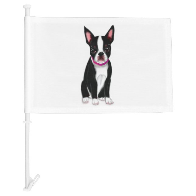 You are my everything boston terrier mind pet desi car flag (Front)