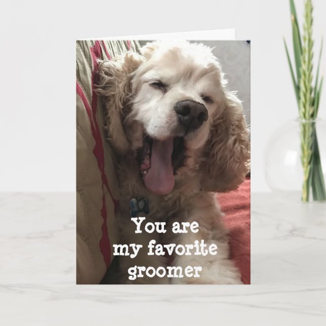 YOU ARE MY FAVORITE *GROOMER** BIRTHDAY CARD (Front)