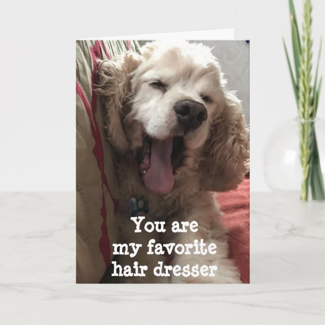 YOU ARE MY FAVORITE ***HAIRDRESSER**** BIRTHDAY CARD (Front)