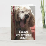 YOU ARE MY FAVORITE ***SISTER**** BIRTHDAY CARD<br><div class="desc">MY LITTLE "DAKOTA" IS SO READY TO SAY "HAPPY BIRTHDAY" FOR YOU SINCE YOU CAN'T DO IT IN PERSON!!! HOPE YOU LIKE THIS CARD AND THANK YOU SO MUCH FOR STOPPING BY ONE OF MY EIGHT STORES!</div>