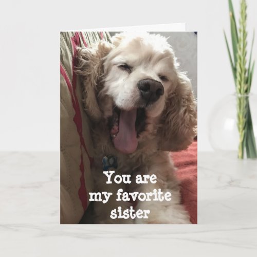 YOU ARE MY FAVORITE SISTER BIRTHDAY CARD