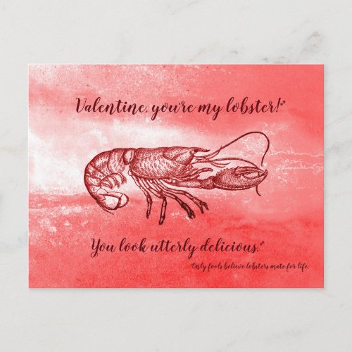You are my lobster naughty Valentine Holiday Postcard