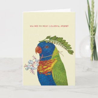 You are my most colorful friend card with lorikeet