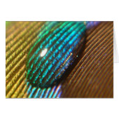 You are my RAINBOW (Front Horizontal)