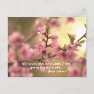 You are my refuge and my shield; I have put my hop Postcard