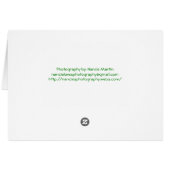 You are my sunshine (Back Horizontal)