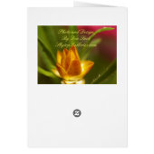 You Are My Sunshine! Cards (Back)