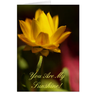You Are My Sunshine! Cards