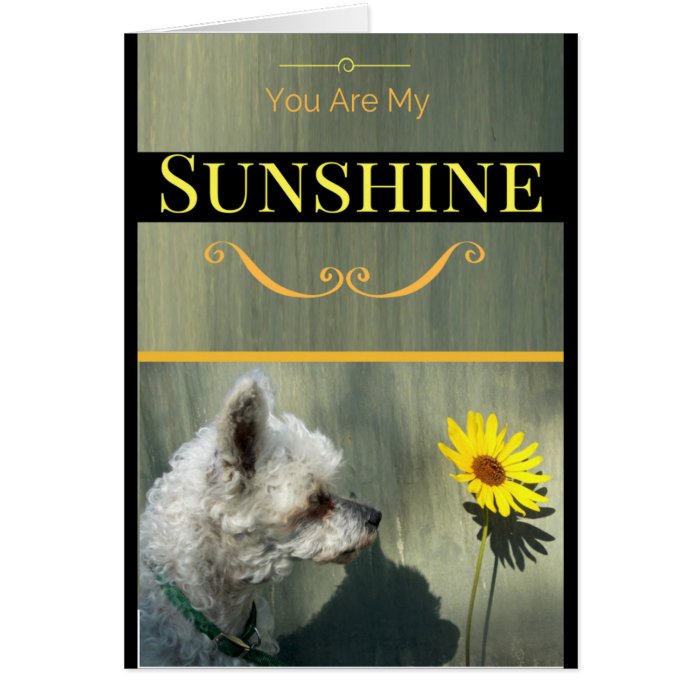 You Are My Sunshine Dog and Flower Greeting Card Zazzle