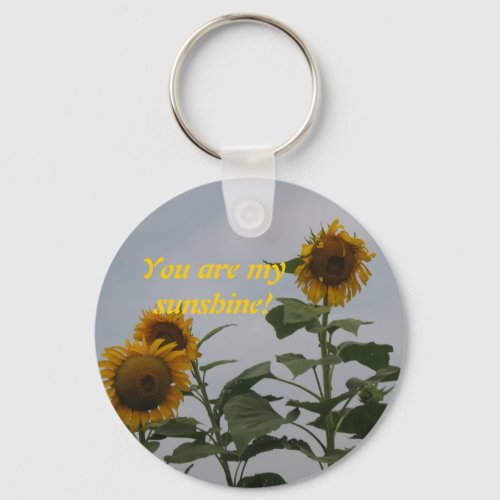 You are my sunshine Keychain