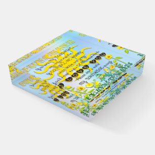 You Are My Sunshine Paperweight