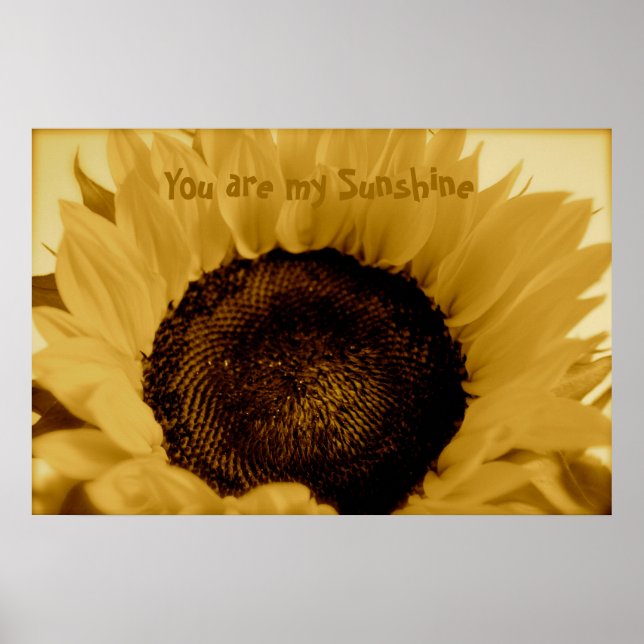 You Are My Sunshine Poster (Front)
