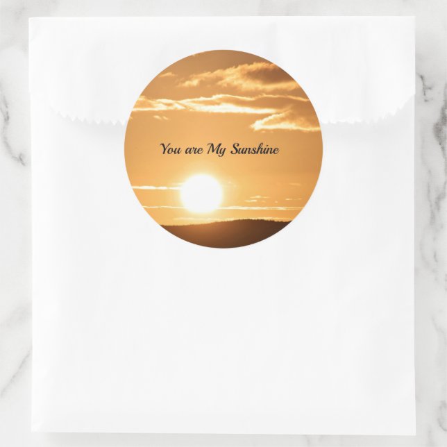 You are My Sunshine Sticker (Bag)