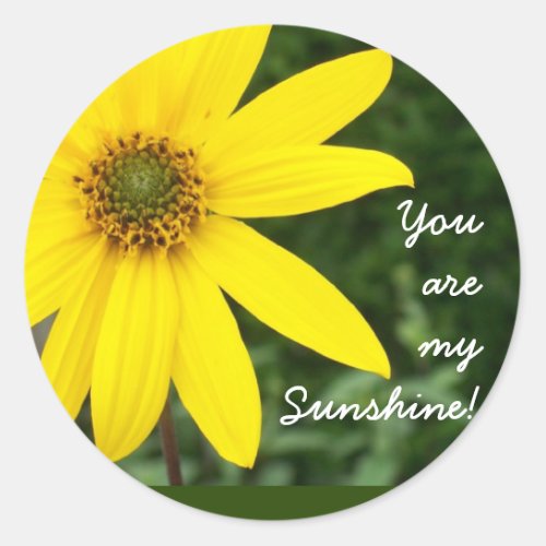 You are my Sunshine Stickers