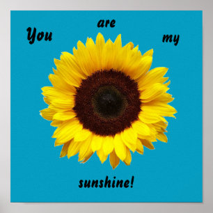 You are my sunshine! Sunflower poster
