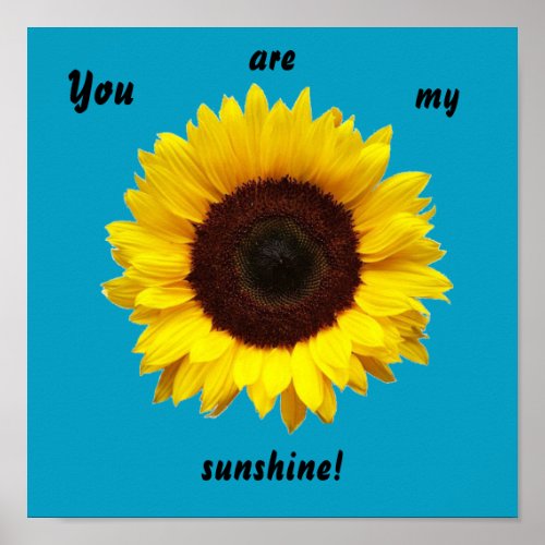 You are my sunshine Sunflower poster