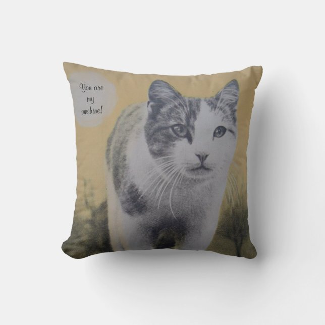 You Are My Sunshine! Throw Pillow (Front)