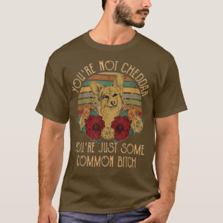 You Are Not Cheddar You Are Just Some Common Vinta T-Shirt