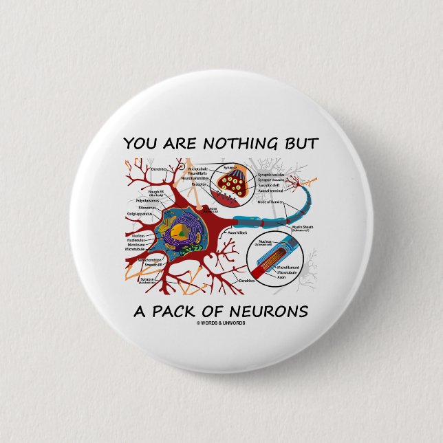 You Are Nothing But A Pack Of Neurons (Synapse) Button (Front)