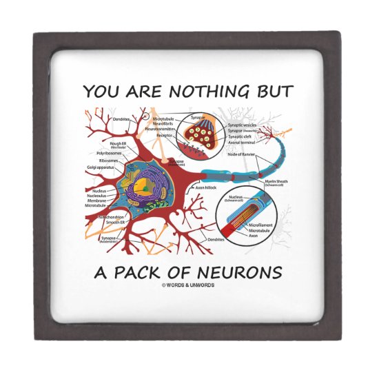 You Are Nothing But A Pack Of Neurons (Synapse) Jewelry Box
