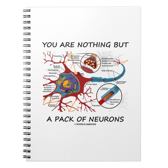 You Are Nothing But A Pack Of Neurons (Synapse) Notebook
