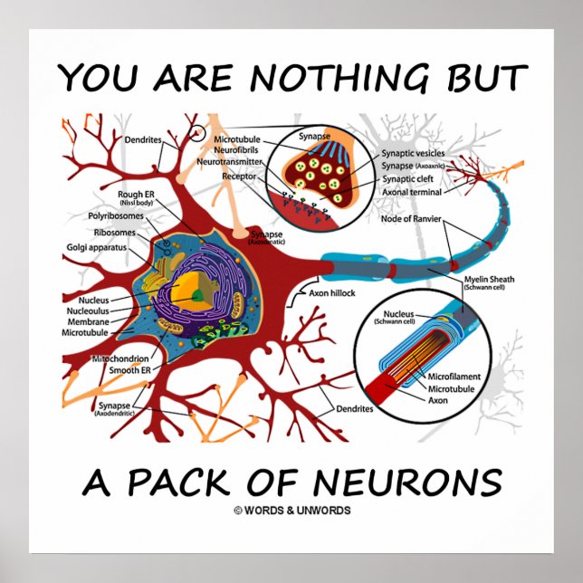 You Are Nothing But A Pack Of Neurons (Synapse) Poster (Front)