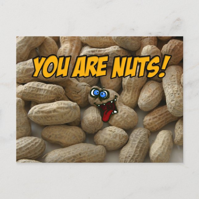 you are nuts! postcard (Front)