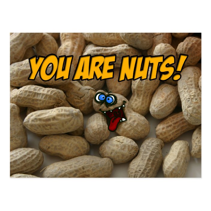 He is nuts. Are you Nuts. To go Nuts идиома. Be Nuts. You're Nuts.