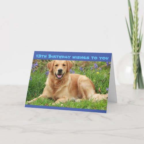 YOU ARE OFFICIALLY A TEENAGER 13th BIRTHDAY Card