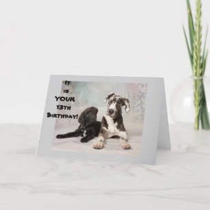 YOU ARE OFFICIALLY A TEENAGER **13th BIRTHDAY** Card