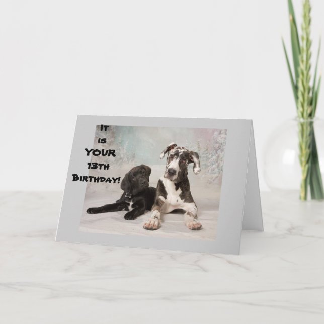 YOU ARE OFFICIALLY A TEENAGER **13th BIRTHDAY** Card (Front)