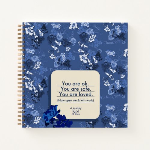 You are ok notebook