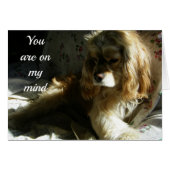 ****YOU ARE ON MY MIND**** LOVING COCKER SPANIEL (Front Horizontal)