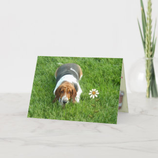 "You Are One In A Million" Birthday Card W/Basset