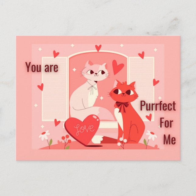 You are Purrfect for Me  Postcard (Front)