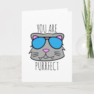 You Are Purrfect Holiday Card