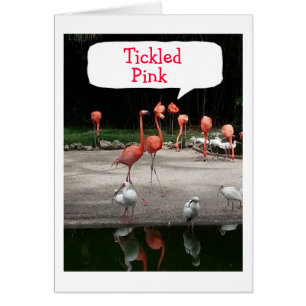 **YOU ARE RETIRING" FLAMINGOS ARE "TICKLED PINK" CARDS