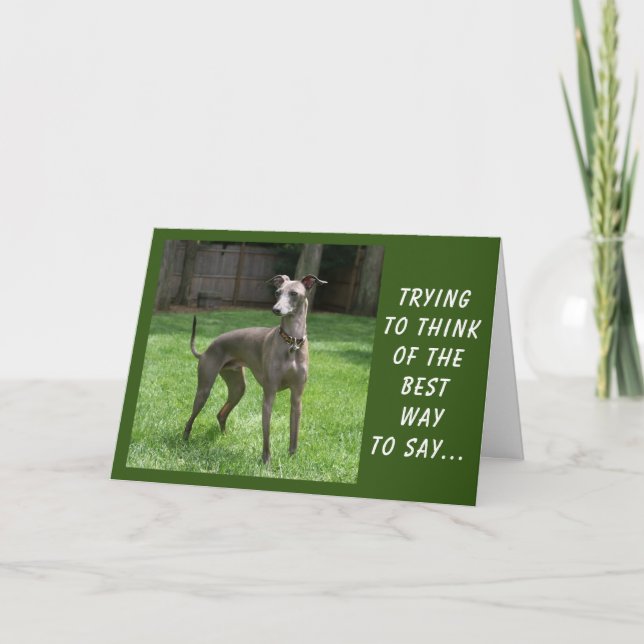 YOU ARE "SPECIAL" AND SO IS "YOUR BIRTHDAY" CARD (Front)