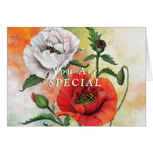You Are Special - Beautiful Red White Poppies - Cards
