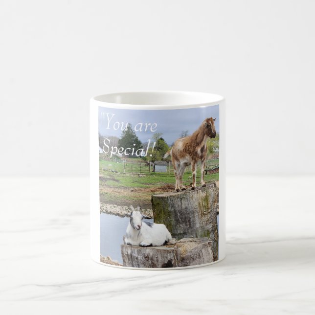 "You are Special!| Goats 2 Coffee Mug (Center)