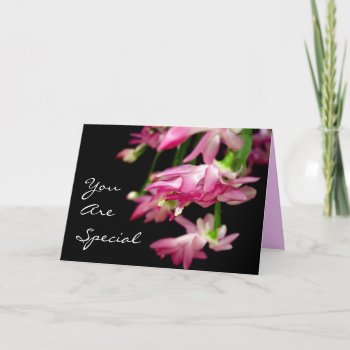 You Are Special Holiday Card by LivingLife at Zazzle
