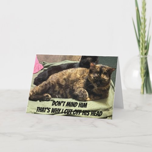 YOU ARE THE CATS MEOW BIRTHDAY CARD