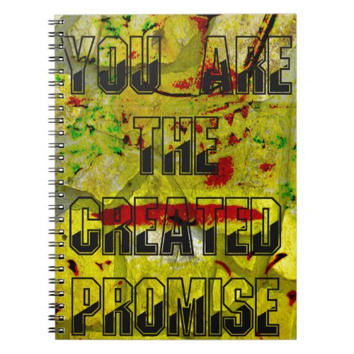 You are the created promise notebook