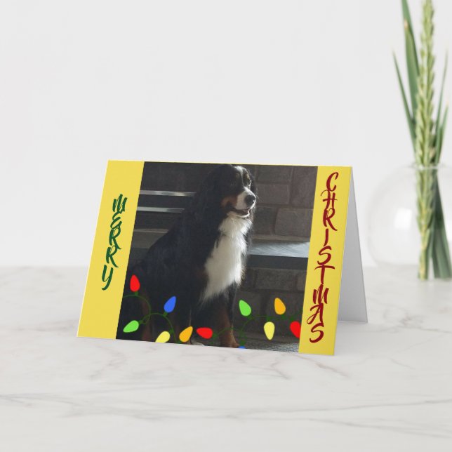 YOU ARE THE *LIGHT OF MY LIFE* CHRISTMAS CARD (Front)