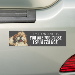 You are too close I shih tzu not Bumper Sticker