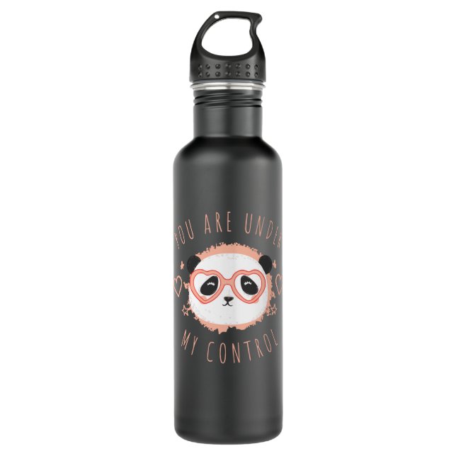 You are under my control stainless steel water bottle (Front)