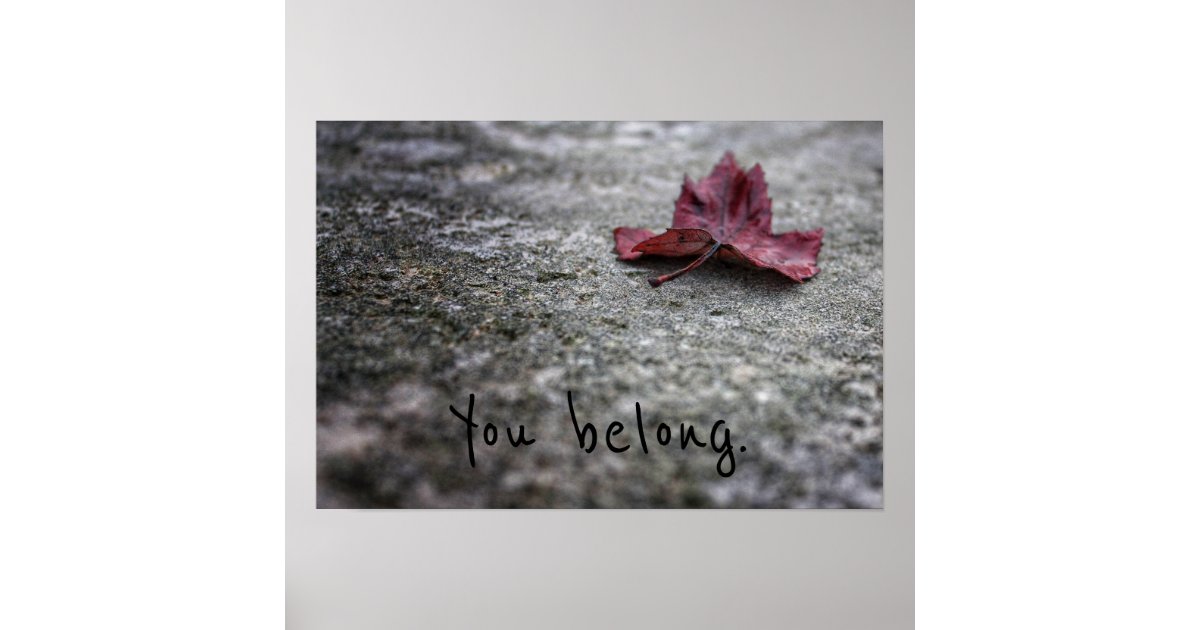 You Belong Poster Print Zazzle