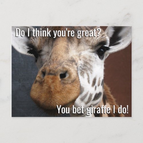 You Bet Giraffe Encouragement Postcard